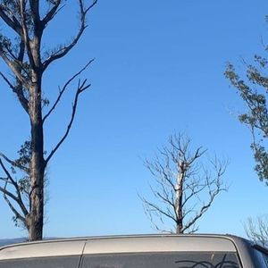 Meet your Posher, Ella